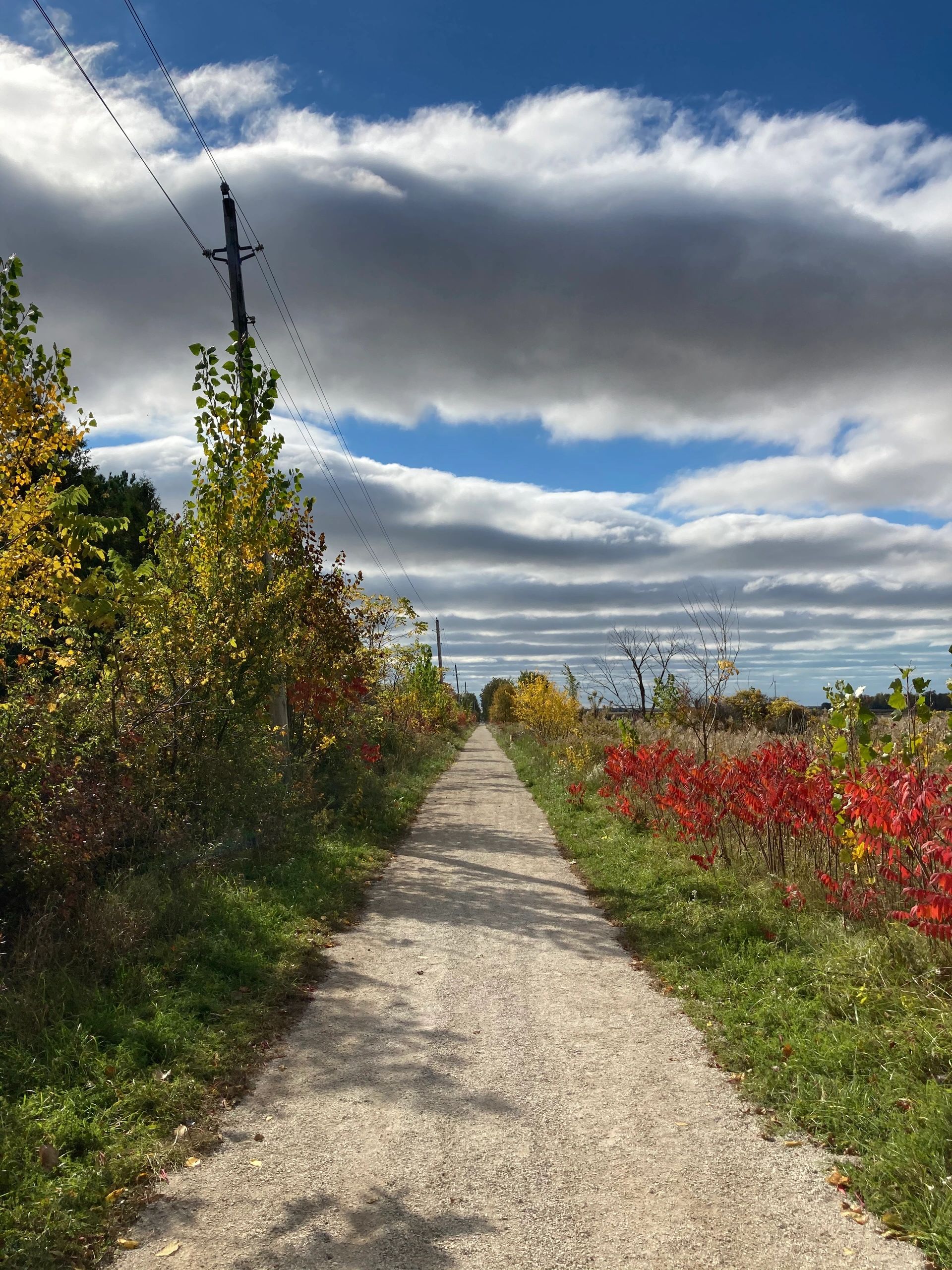 Contact Us Lambton Shores Nature Trails