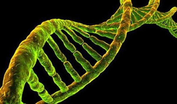DNA helix showing our microbe testing and formulation