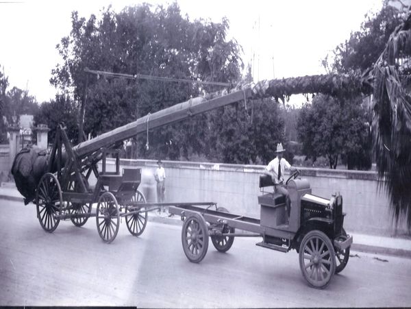 The oldest and most reliable palm experts in Houston are offering lethal bronzing treatments