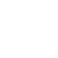 THE VIP PROJECT