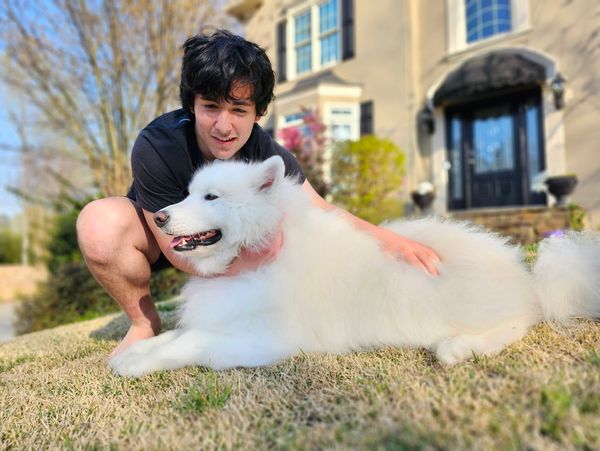 teenager super happy with a wonderful samoyed