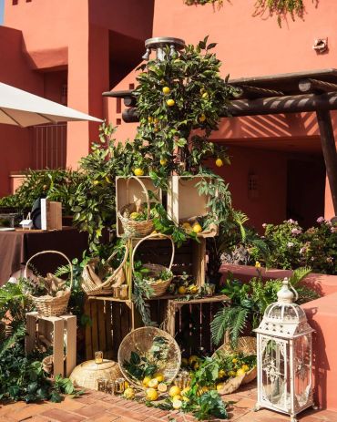 Rustic outdoor setup with baskets and lemons.
