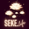 SEKE