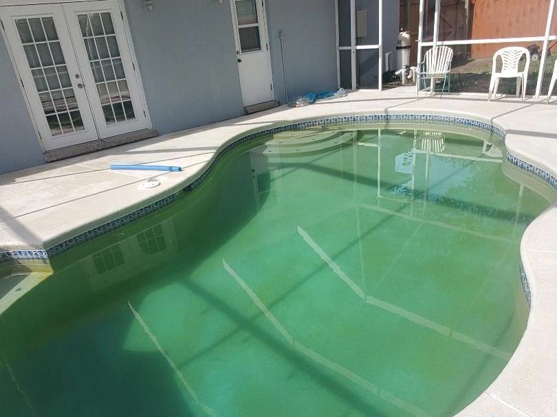 Green pool cleanup  service in Lakeland FL