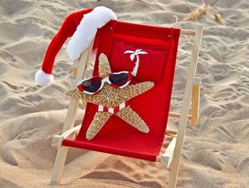 Christmas Starfish on the beach