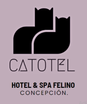 catotelspa.com