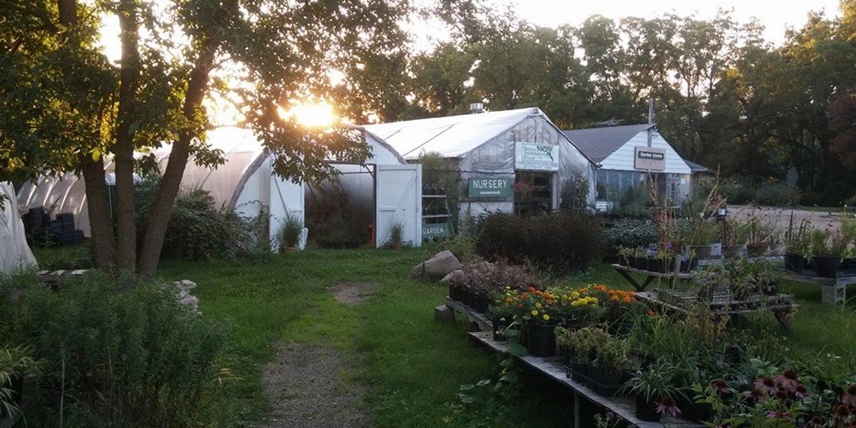 Natural Environments vintage greenhouses