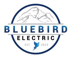 BlueBird Electric Ltd.