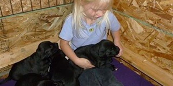 Dog Training Services Meeteetse WY