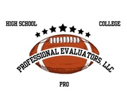 Professional Evaluators