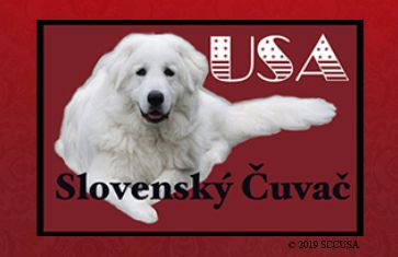 are slovak cuvac aggressive
