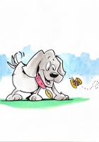 Boomer Explores