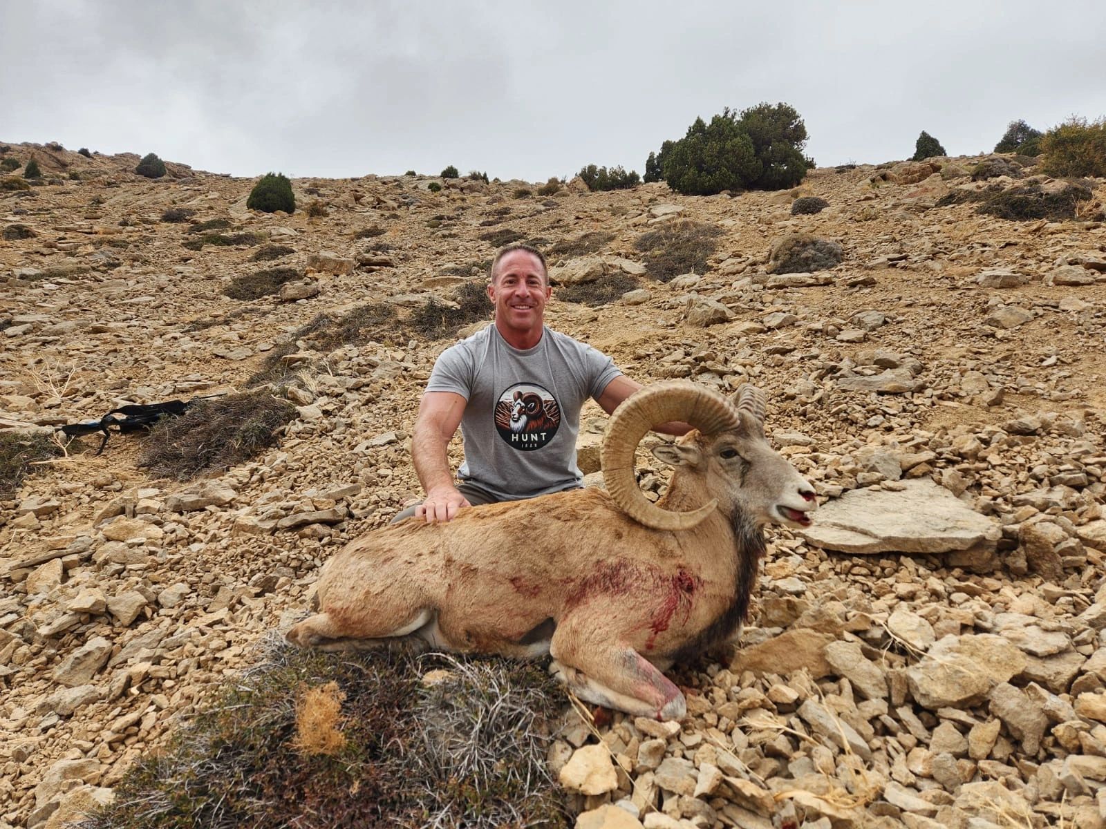Persian Desert Ibex | HuntIran