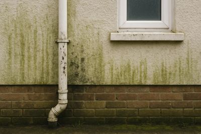 image of a wall that is about to recieve a biocide treatment by Render Cleaning NI. Pressure Wash.
