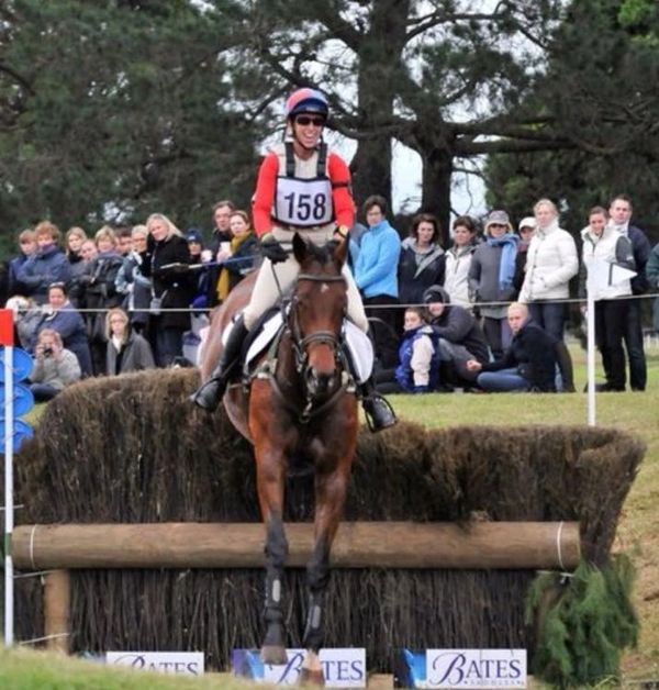 Equestrian rider jumping over an obstacle during a competition.