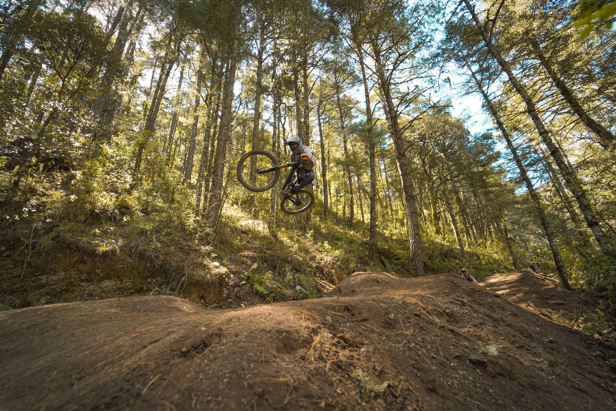 A mountain biker performs a jump in a sunlit forest trail, putting mountain bike suspension to the test.