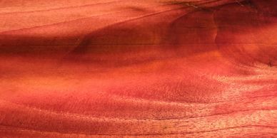 Hawaii Tropical Hardwoods - Koa Guitar Set, Mango Guitar Set Hawaii Tropical Hardwoods - Koa Guitar Set, Mango Guitar Set