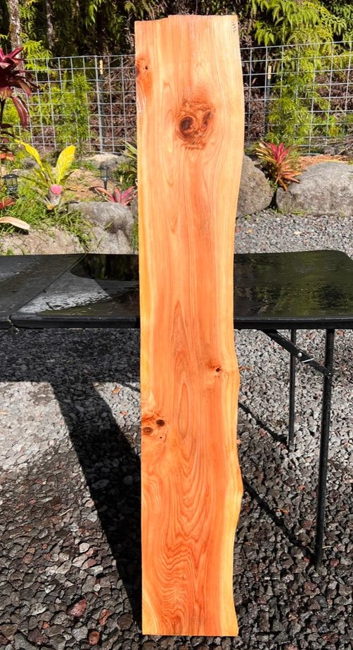 Hawaiian Sugi Pine Slab