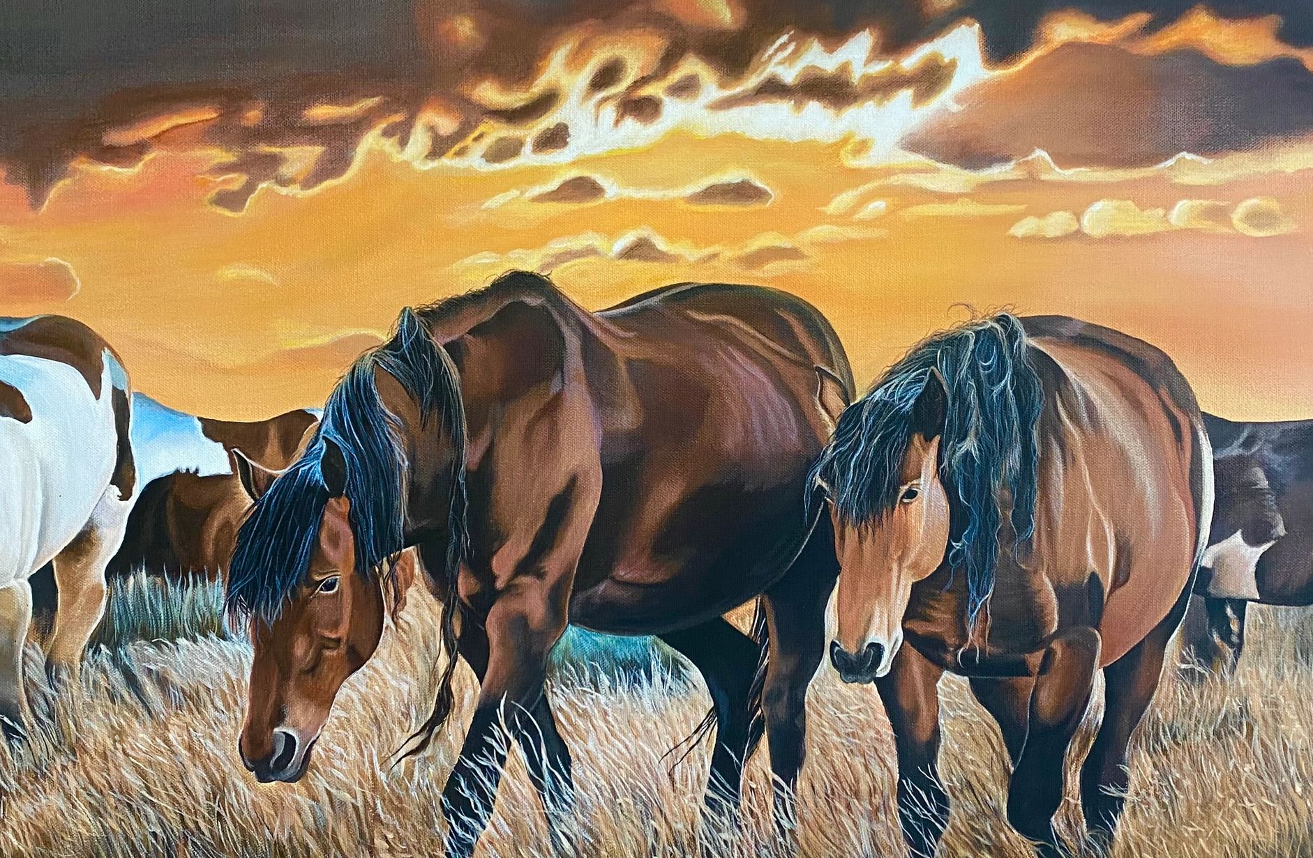 wild horses in meadow