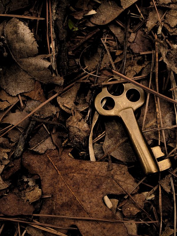 Old brass key resting on dry leaves and pine needles.