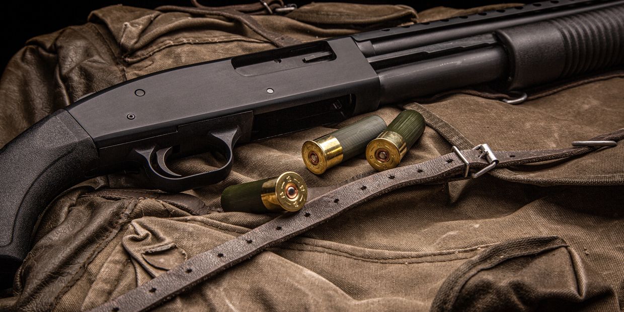 Weapons, Shotguns.