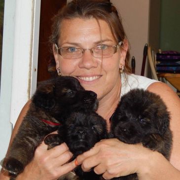 Leonberger puppies being held