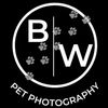 Logo for B|W Pet Photography featuring paw prints.