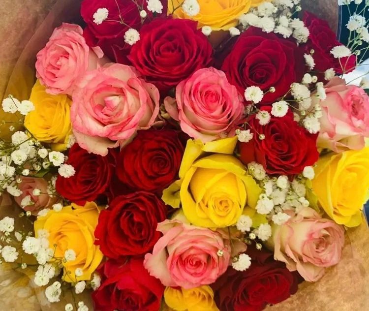 Dozen Assorted Roses Wrapped - Click below to add vase
