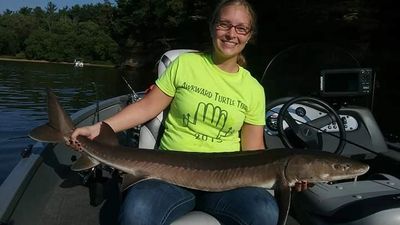 Lake Sturgeon caught on a day trip to the Wisconsin River in the Wisconsin Dells
