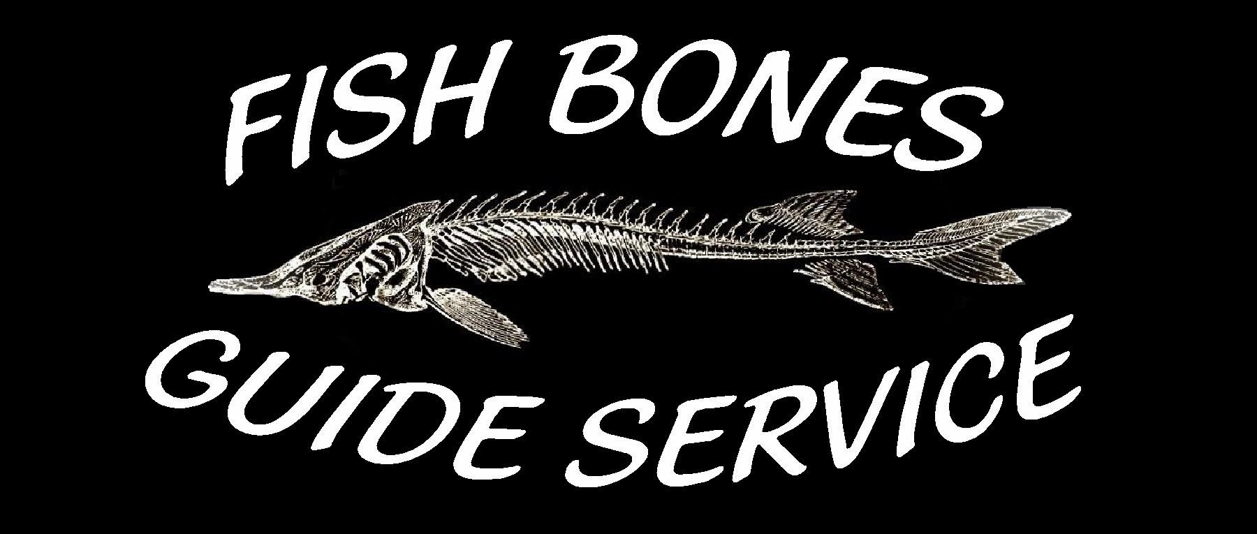 Bear Bait - Fish Bones Guide Service