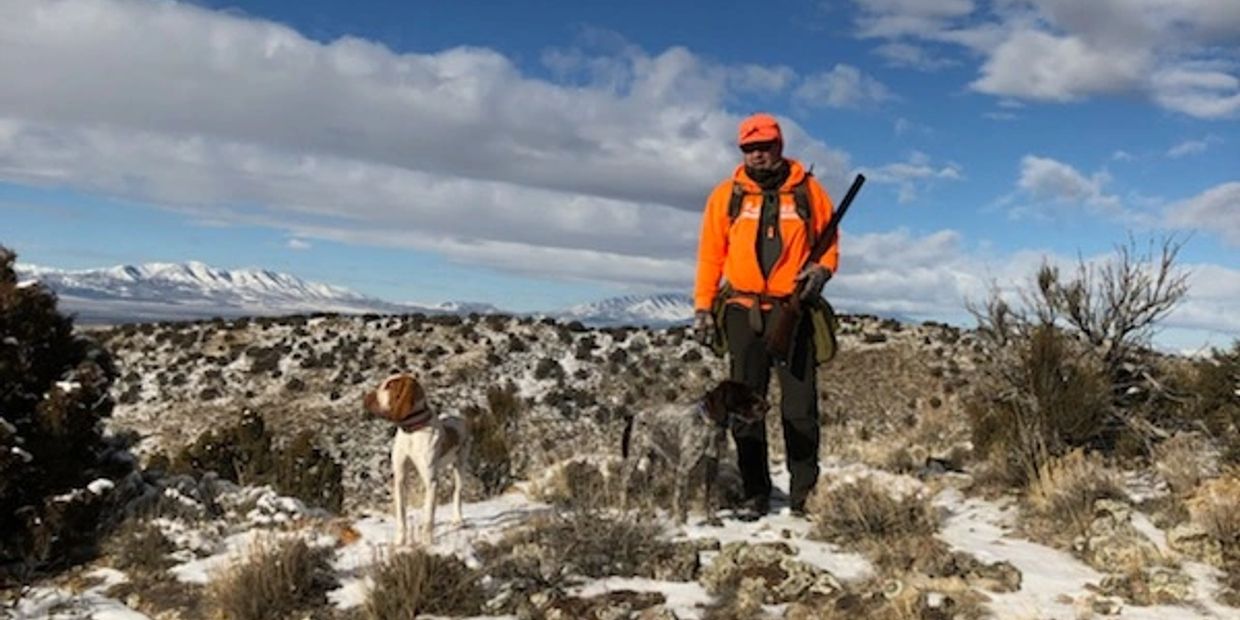 Upland dog kennel Breeder, Breeder, Puppies