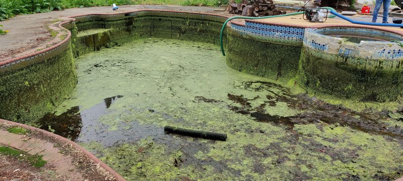 Pool miracle project 6