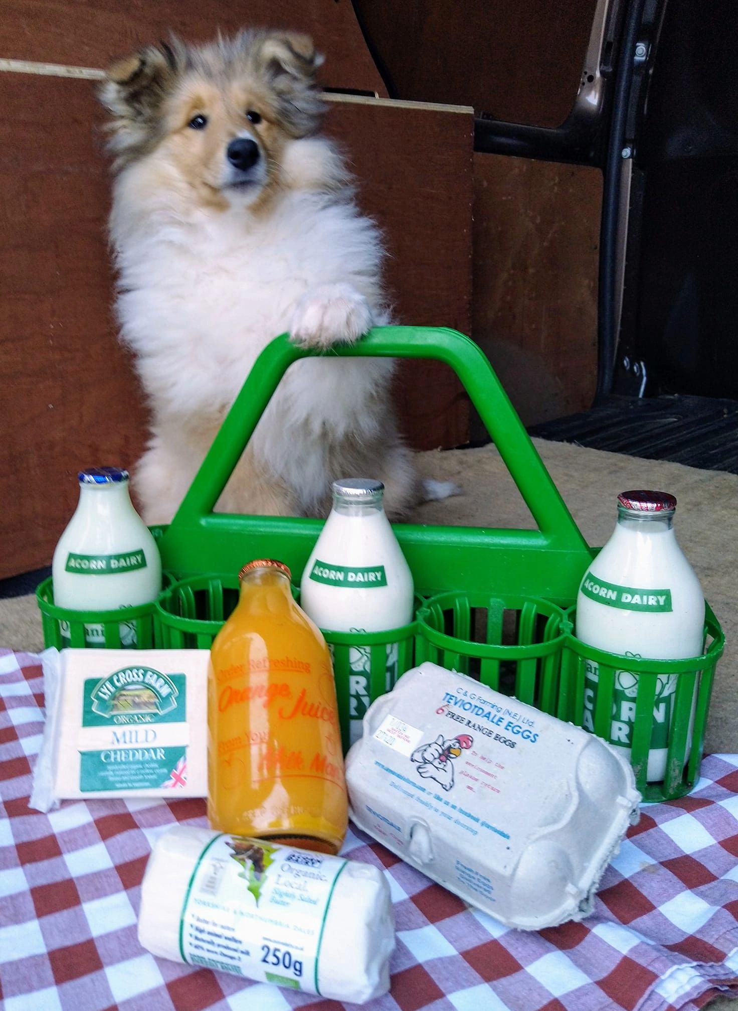 Teviotdale Milk Delivery Service, Milk Delivery, Doorstep Milk