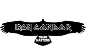 Iron Condor Trade Masters