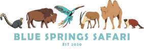 Blue Springs Safari