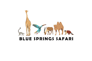 Blue Springs Safari