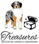 Treasures Miniature American Shepherds