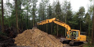 all aspects of forestry works carried out 