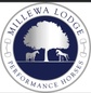 Millewa lodge performance horses and thoroughbred spelling