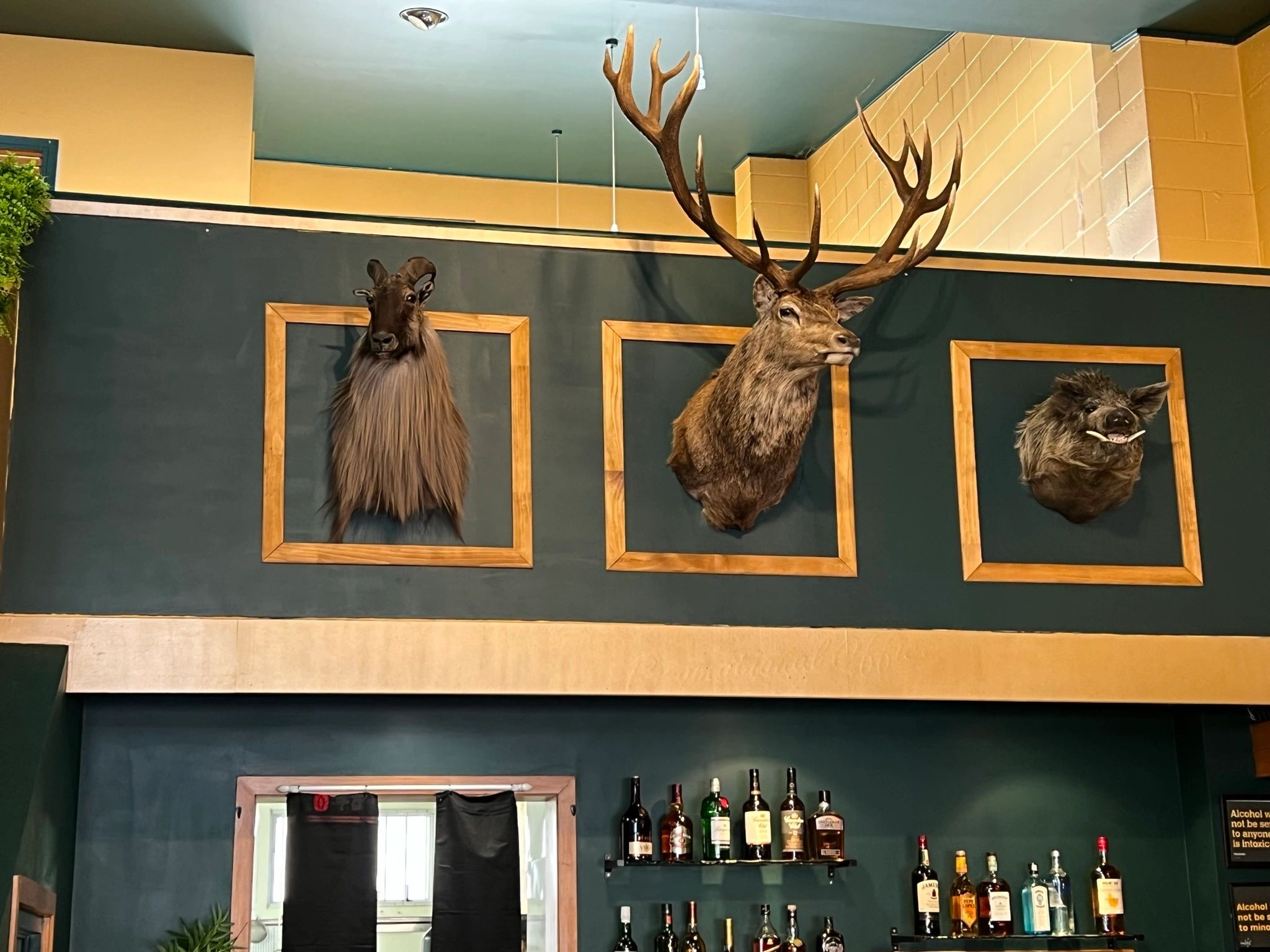 Number8wire Farm to Table Dishes, Steaks & Fine Dine Restaurant