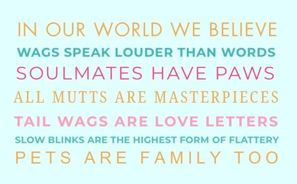 Inspirational pet quotes emphasizing love and connection with animals.