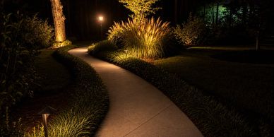 Landscape lighting illuminating a pathway, ornamental grasses, and trees in Wilmington, NC.