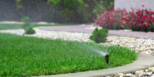 Irrigation sprinkler heads properly watering a lawn