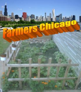 Local Resource Guide: Managing Your Financial Strategy in Chicago