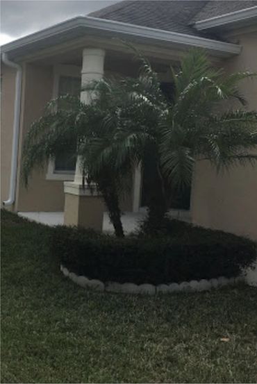 Garden area in the house