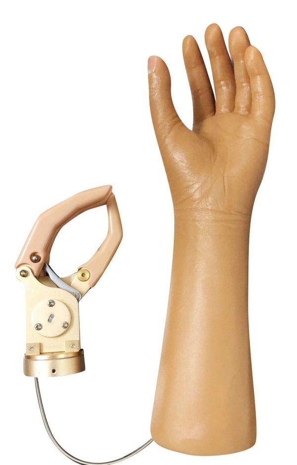 A prosthetic arm with a mechanical claw attachment and realistic skin tone.