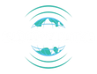 SJQ Consulting Limited