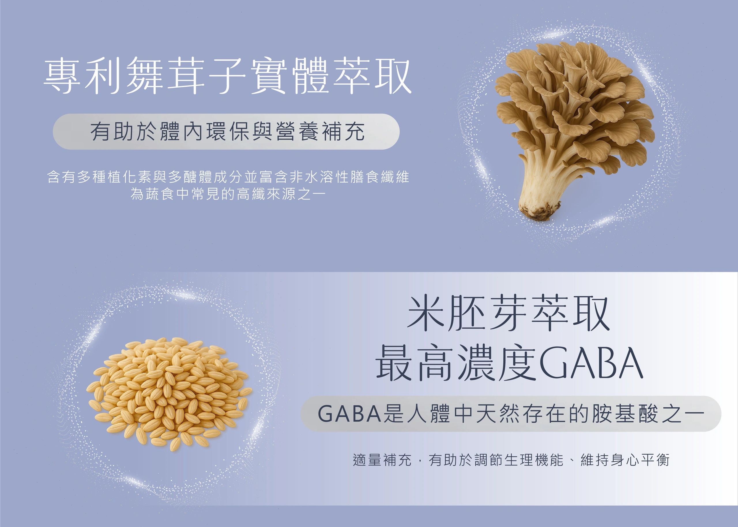 專利舞茸子萃取與米胚芽萃取介紹