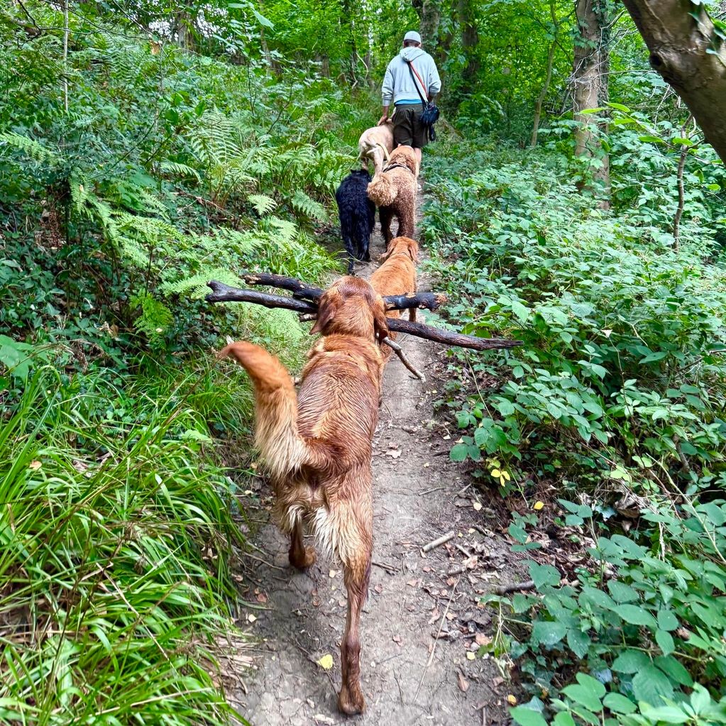 The day begins with structure.