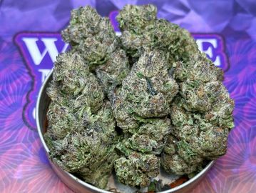 Close-up of cannabis buds in a container with colorful background.